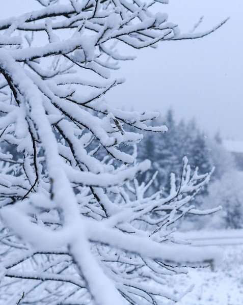 Torna nuovamente la neve nel weekend